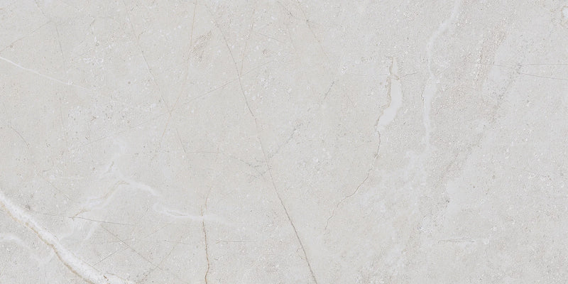 Alstein Light Gray 12x24 Porcelain Tile