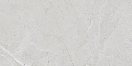 Alstein Light Gray 12x24 Porcelain Tile