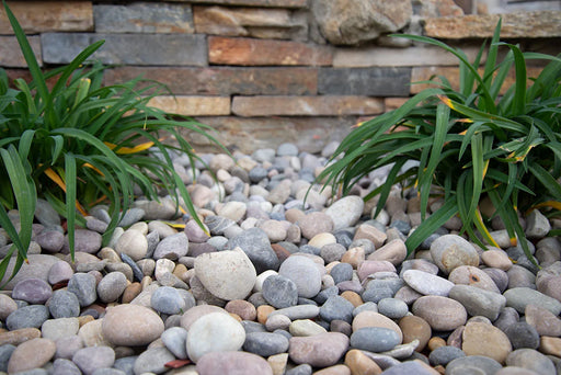 Amazon Multi 3-6 CM Natural Pebbles 40 LBS Bag Pebble