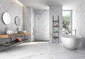 Bianco Venatino 24x48 Polished Porcelain Tile