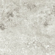 Andes Shell 24x48 Porcelain Paver