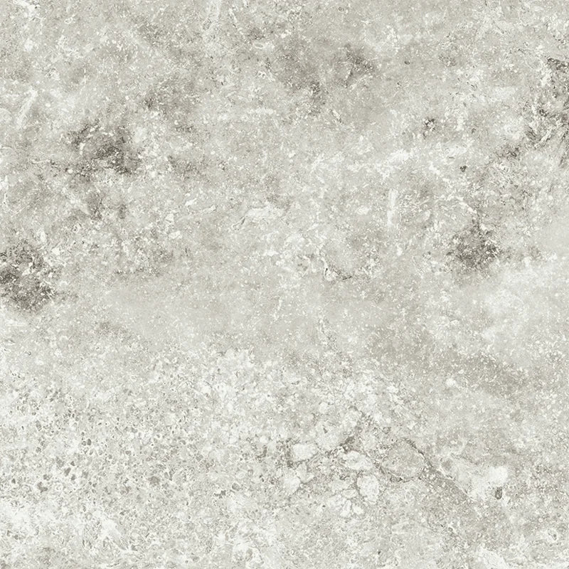 Andes Shell 24x48 Porcelain Paver