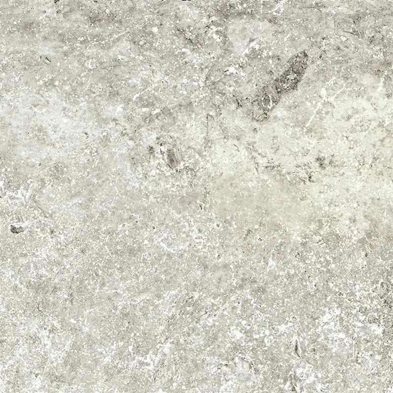 Andes Shell 24x48 Porcelain Paver