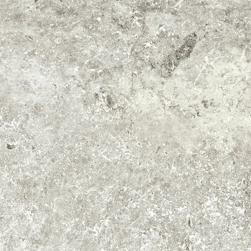 Andes Shell 24x48 Porcelain Paver