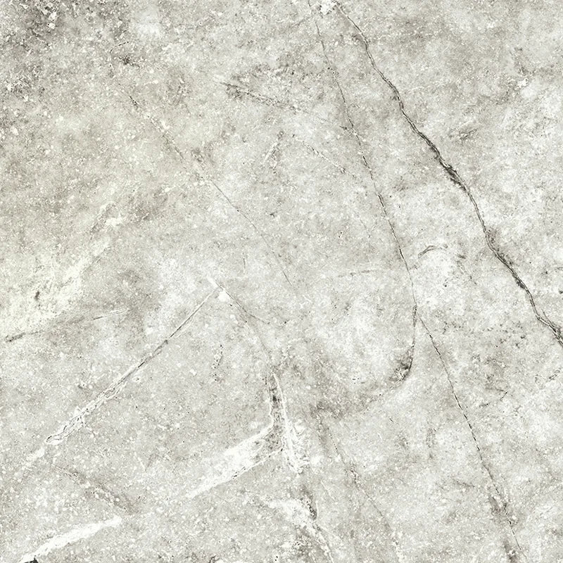 Andes Shell 24x24 Porcelain Paver