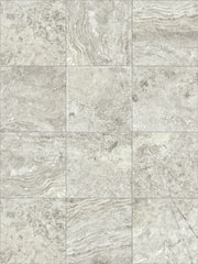 Andes Shell 24x48 Porcelain Paver