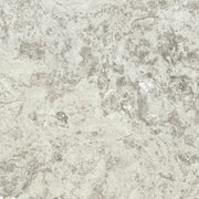 Andes Shell 24x48 Porcelain Paver