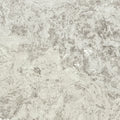 Andes Shell 24x24 Porcelain Paver