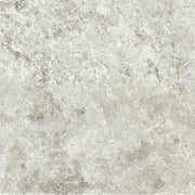 Andes Shell 24x48 Porcelain Paver