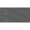 Andhra Black 24x6 NC Quartzite Ledger Panel