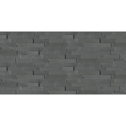 Andhra Black 24x6 NC Quartzite Ledger Panel
