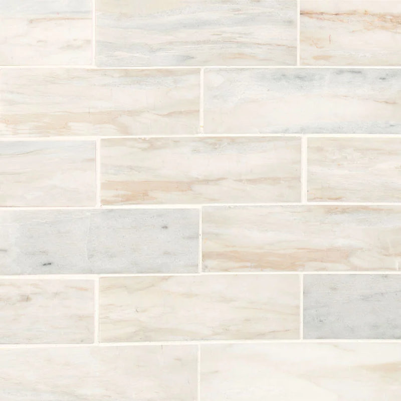 Angora Subway 2x6 Polished 0.38 Inch Marble Tile