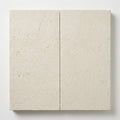 Antalya Cream Marble Leather (Sandblasted & Brushed) 12 x 24 x 2 Modern Coping 12x24 close-up