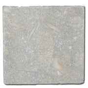 Antique Subway Rustic Green (Sea Grass) 4x4 Limestone Tile