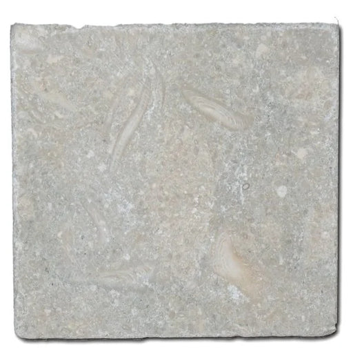 Antique Subway Rustic Green (Sea Grass) 4x4 Limestone Tile
