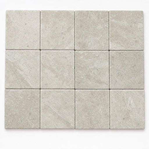 Antique Tundra Grey 4x4 Tumbled Marble Tile close-up