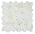 Aphrodite Onyx White 12x12 Honed Mosaic