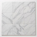 Arabescato Carrara 12x12 Honed Marble Tile close-up