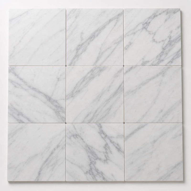Arabescato Carrara 12x12 Honed Marble Tile close-up