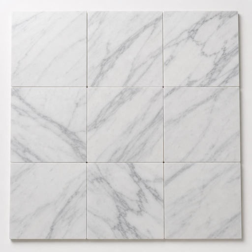 Arabescato Carrara 12x12 Honed Marble Tile close-up