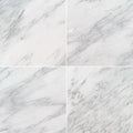 Arabescato Carrara 18x18 Honed Marble Tile