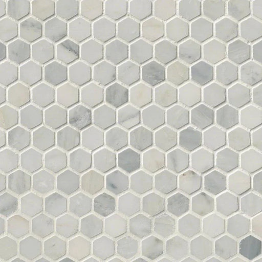 Arabescato Carrara 1" Hexagon Honed Marble Mosaic Tile