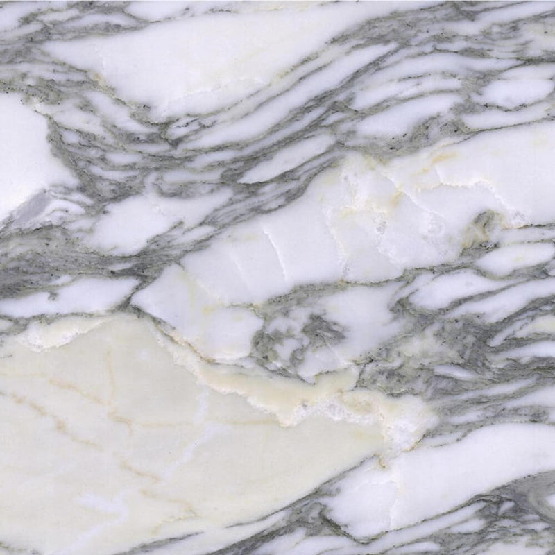 Close-up of Arabescato Corchia Extra marble with white areas and flowing gray veins.