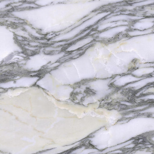 Close-up of Arabescato Corchia Extra marble with white areas and flowing gray veins.