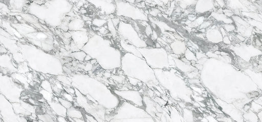 Arabescato Marmo 60x126 Polished Porcelain Slab