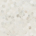 Arabescato Venato White 2" Hexagon Honed Marble Mosaic Tile