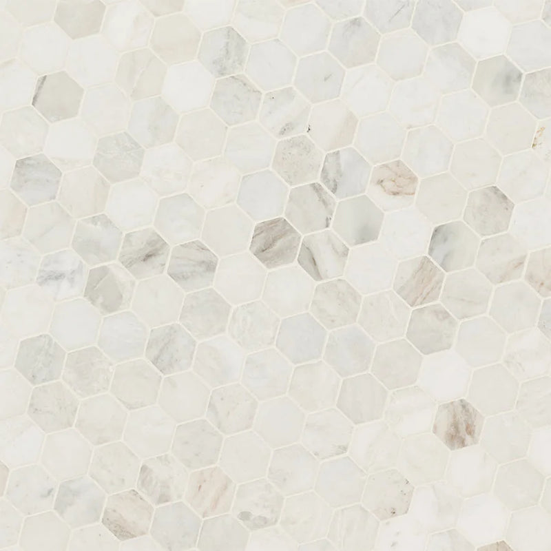 Arabescato Venato White 2" Hexagon Honed Marble Mosaic Tile