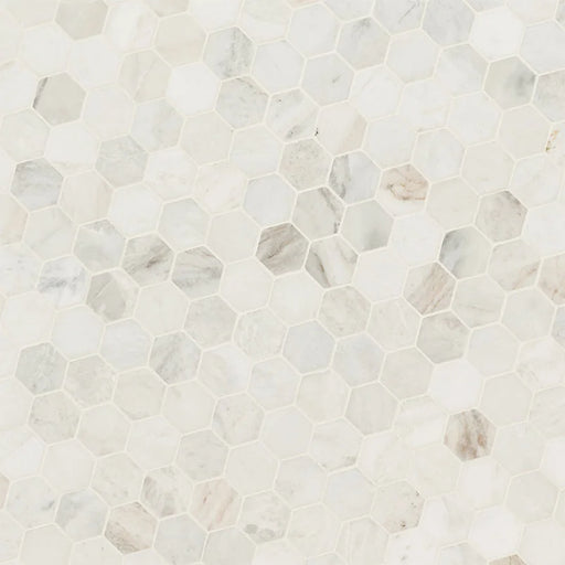 Arabescato Venato White 2" Hexagon Honed Marble Mosaic Tile