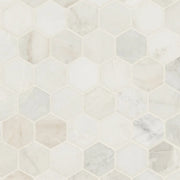 Arabescato Venato White 2" Hexagon Honed Marble Mosaic Tile