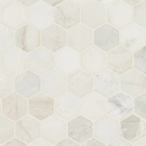 Arabescato Venato White 2" Hexagon Honed Marble Mosaic Tile