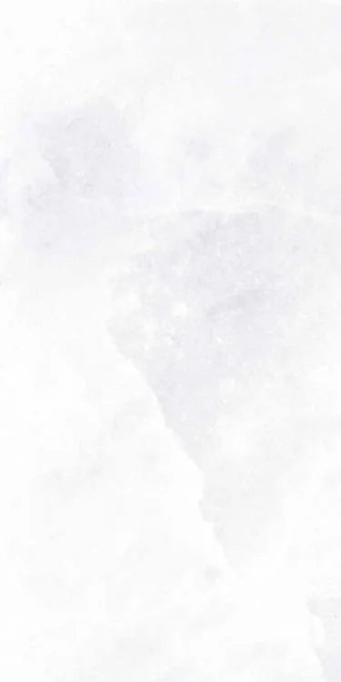 Archisalt Flower Of Salt 12x24 Lux Porcelain Tile