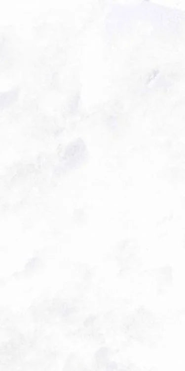 Archisalt Flower Of Salt Cross 12x24 Porcelain Tile