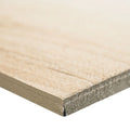 Aspenwood Artic 9x48 Matte Porcelain Wood Look Plank