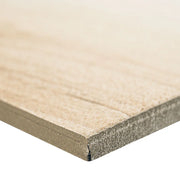 Aspenwood Artic 9x48 Matte Porcelain Wood Look Plank