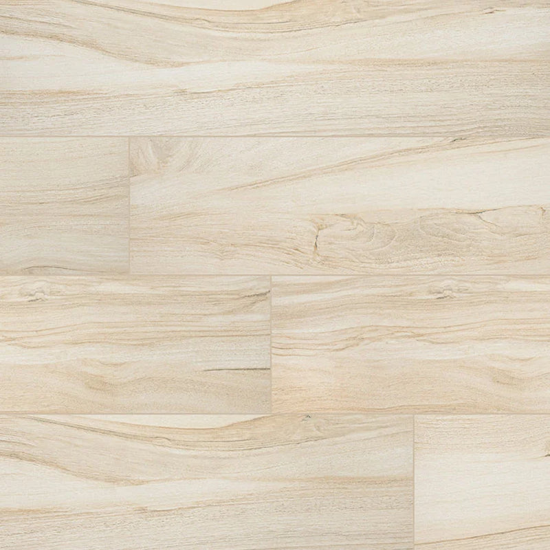Aspenwood Artic 9x48 Matte Porcelain Wood Look Plank