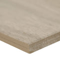 Aspenwood Ash 9x48 Matte Porcelain Wood Look Tile