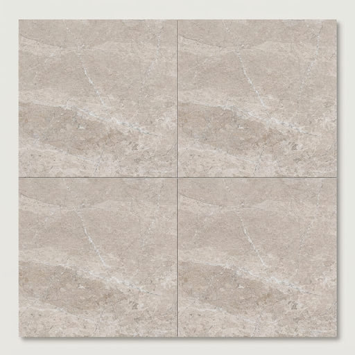 Atlantic Gray Marble 24x24 Polished/Honed Tile close-up