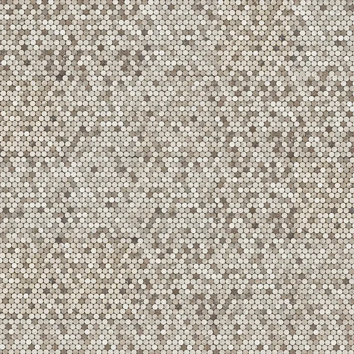 Atlantic Grey Penny Round 3/4 Honed Marble & Dolomite Mosaic