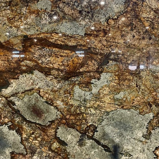 Close-up of an Atlas polished granite slab with gray, brown, and gold mineral patterns.