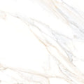 Aurum Calacatta 36x36 Polished Marble Look Porcelain Tile