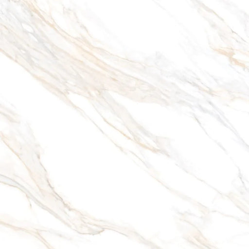 Aurum Calacatta 36x36 Polished Marble Look Porcelain Tile