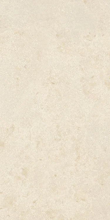 Authentic Luxe Montpellier 24x48 Stone Look Porcelain Tile