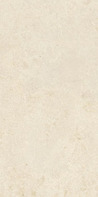 Authentic Luxe Montpellier 24x48 Stone Look Porcelain Tile