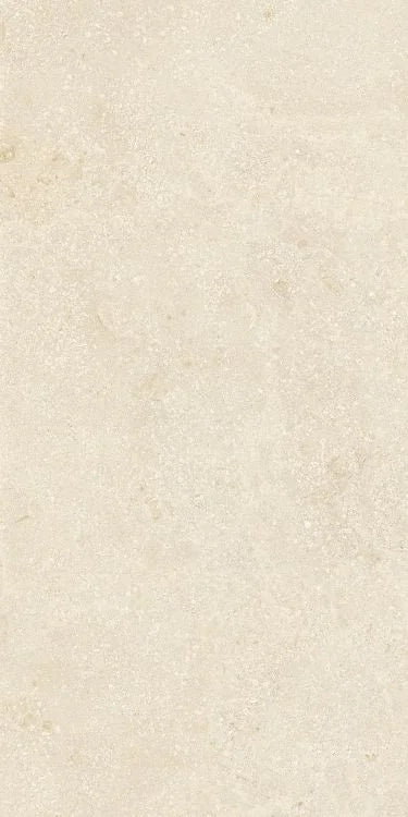 Authentic Luxe Montpellier 24x48 Stone Look Porcelain Tile