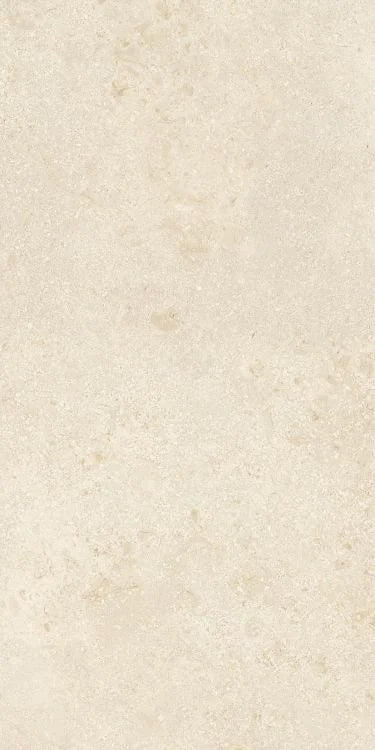 Authentic Luxe Montpellier 24x48 Stone Look Porcelain Tile