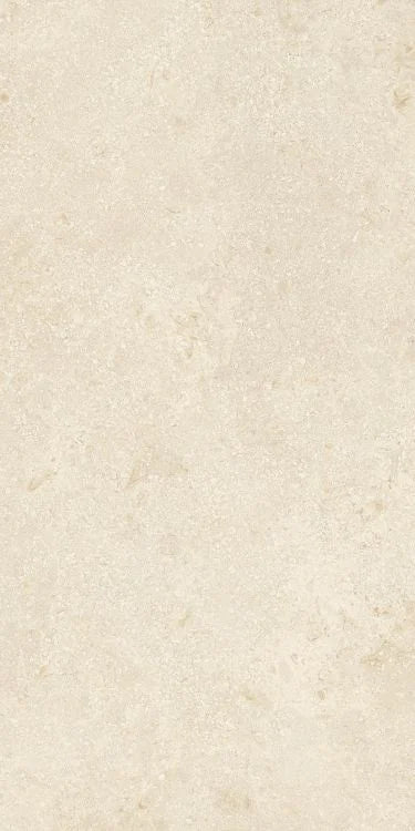 Authentic Luxe Montpellier 24x48 Stone Look Porcelain Tile